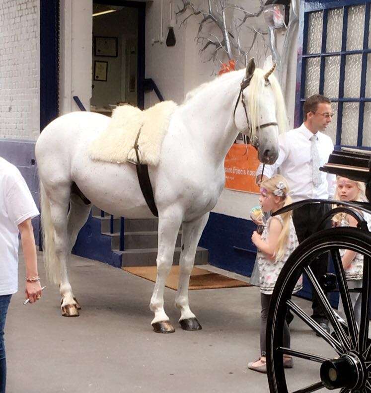 Heritage Horse Drawn Carriage Masters | The Barn Green Farm, Albyns Lane, Stapleford Tawney, Romford RM4 1RX, UK | Phone: 01708 687319