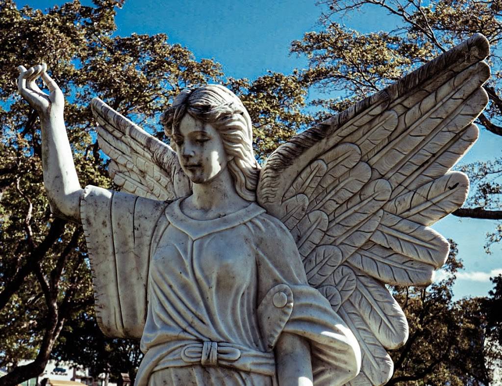 Caballero Rivero Woodlawn North | 3260 SW 8th St, Miami, FL 33135, USA | Phone: (786) 565-4457