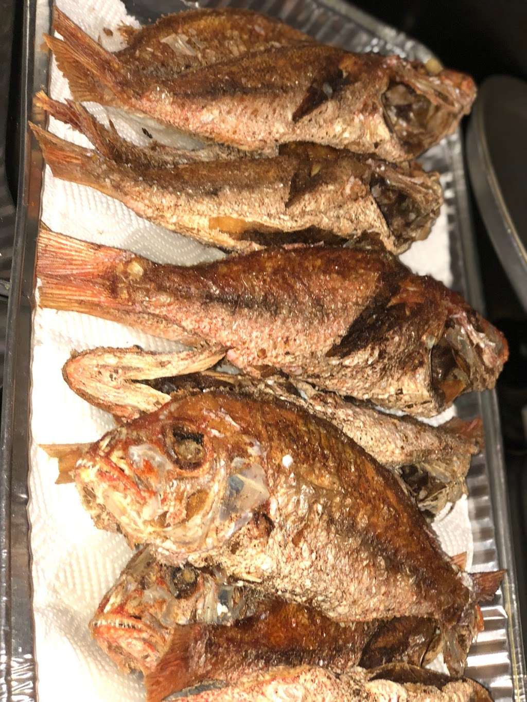 Green Grotto Caribbean Delight | 378 S Branch Rd, Hillsborough Township, NJ 08844, USA | Phone: (908) 292-4196 Green Grotto Caribbean Delight | 378 S Branch Rd, Hillsborough Township, NJ 08844, USA | Phone: (908) 292-4196