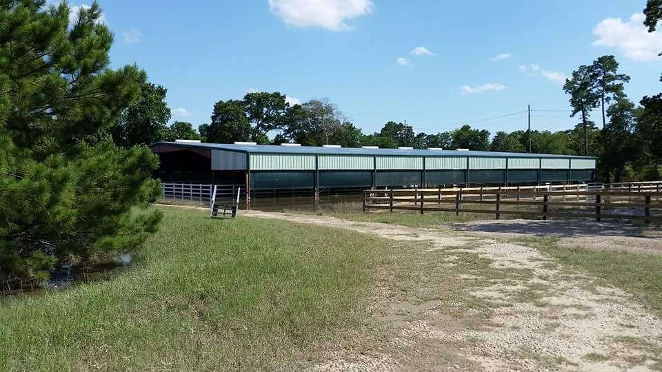 Equine International Stables | 13210 Creekway Dr, Cypress, TX 77429, USA | Phone: (713) 459-6488