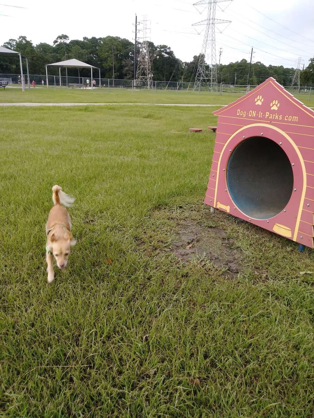 Small Dog Park | 12056-12098 Sonnier St, Houston, TX 77044, USA | Phone: (713) 440-1587