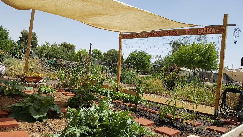 Agritopia Community Gardens | 2920 E Valencia St, Gilbert, AZ 85296, USA | Phone: (480) 988-1238