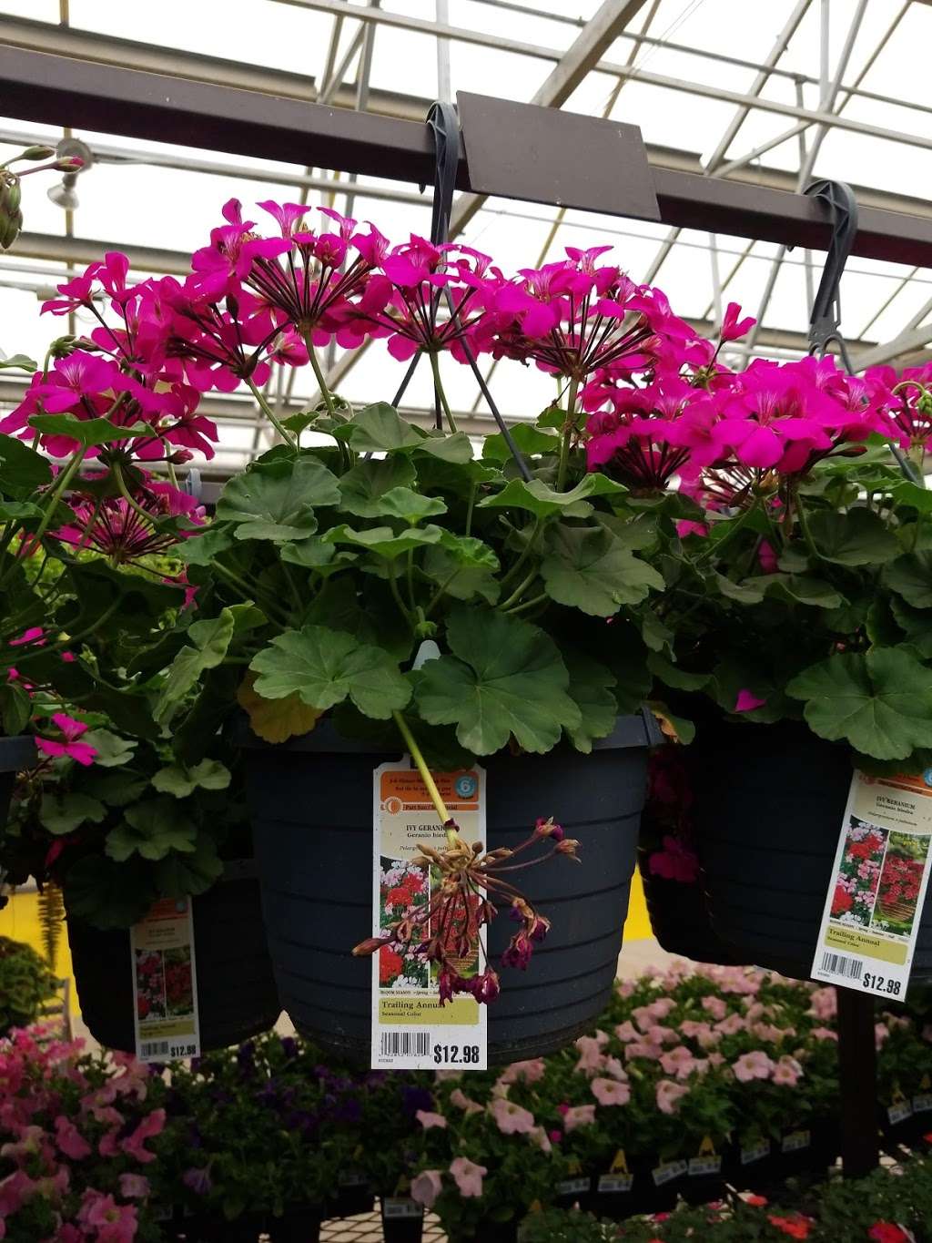 Lowes Garden Center | 18303 Rim Dr, San Antonio, TX 78257 | Phone: (210) 558-1730