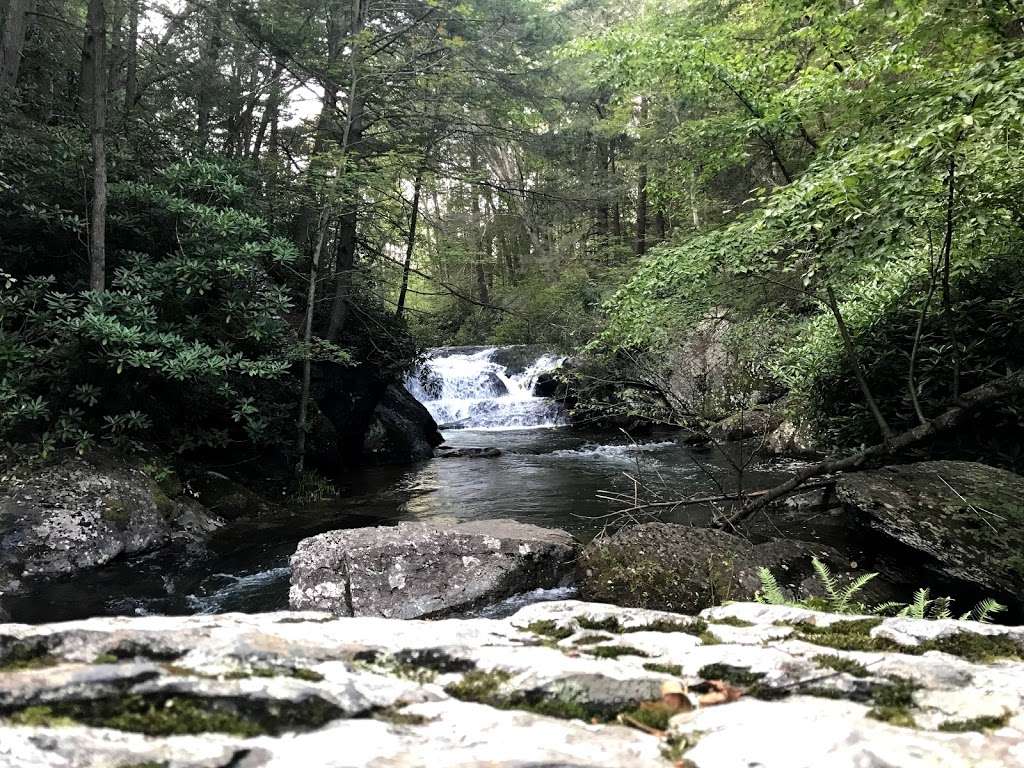 Wild Creek Falls Trail Head | 6875 Pohopoco Dr, Lehighton, PA 18235