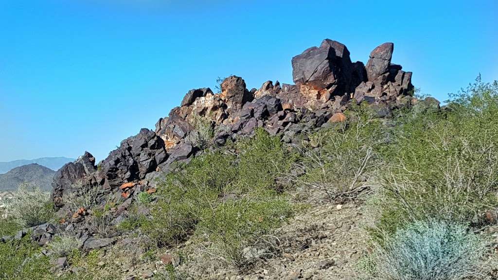 Thunderbird conservation Park | Cholla Loop, Glendale, AZ 85310, USA