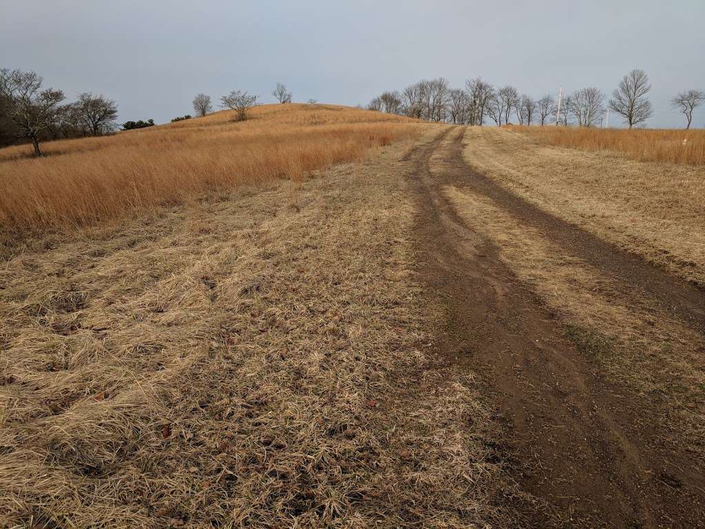 Seward Hill Preserve | Unnamed Road, Chester, NJ 07930, USA