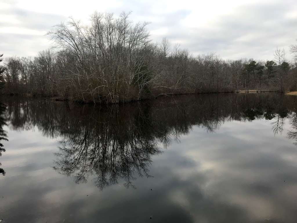 Bear Swamp | 351-, 399 Maxim Rd, Howell, NJ 07731, USA