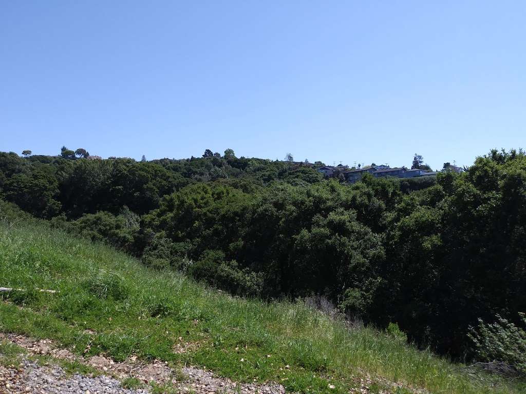 Greenbelt Trails Hiking and Horseback Riding | Hayward Plunge Trail, Hayward, CA 94542, USA