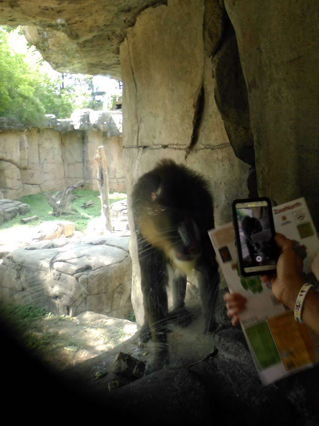 A.D. Martin Forest Aviary | 00344200000000000, Dallas, TX 75216