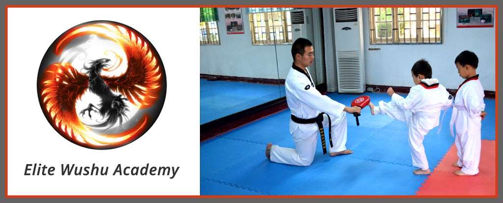 Elite Wushu Academy | 13856 Old Columbia Pike, Silver Spring, MD 20904, USA | Phone: (240) 560-6703