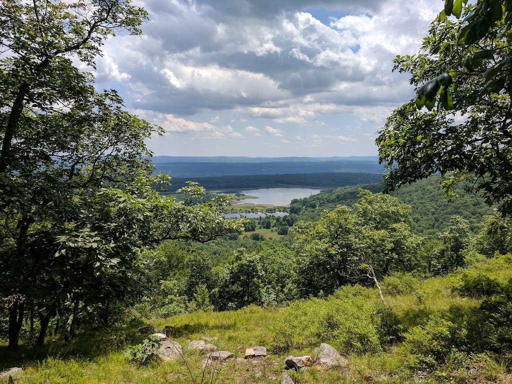 Upper Spur Trail Head | Hardwick Township, NJ 07825, USA