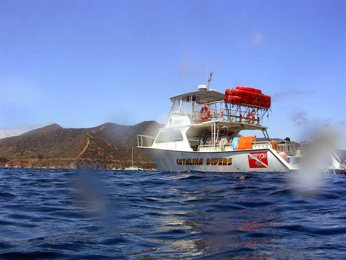 Catalina Divers Supply | Green Pleasure Pier, Avalon, CA 90704, USA | Phone: (310) 510-0330