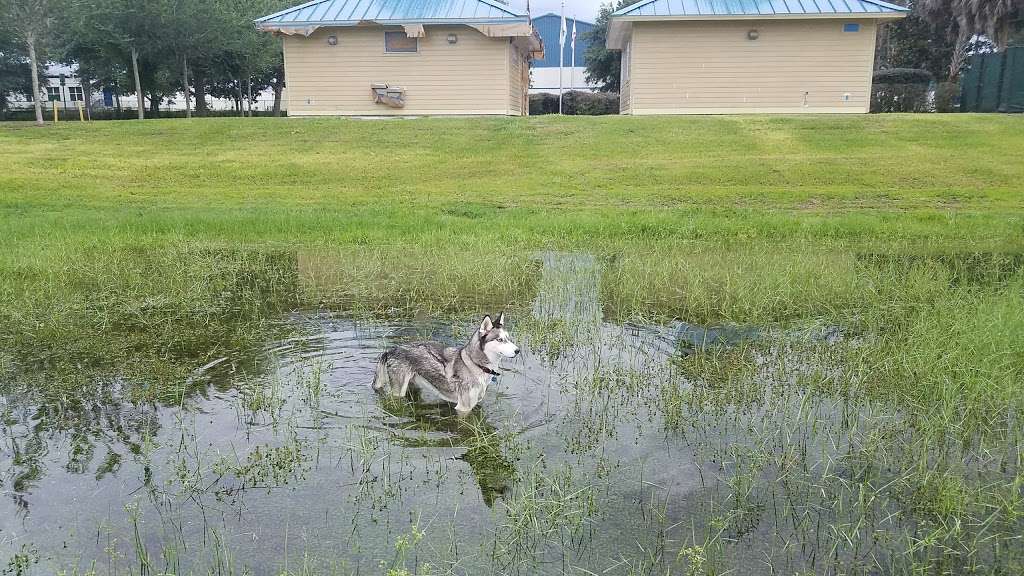 West Orange Dog Park | 12400 Marshall Farms Rd, Winter Garden, FL 34787, USA | Phone: (407) 656-3299