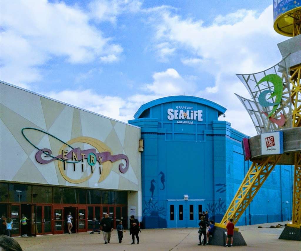 SEA LIFE Grapevine Aquarium | Mills Mall, 3000 Grapevine Mills Pkwy, Grapevine, TX 76051, USA | Phone: (469) 444-3004