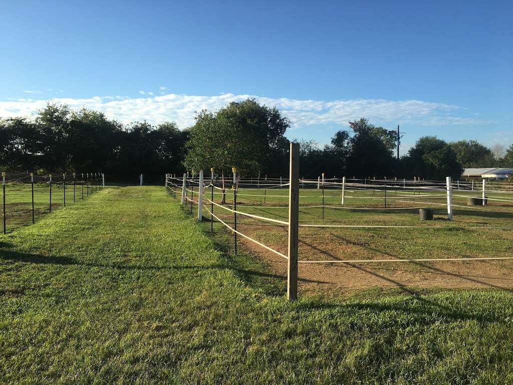 Sugar Land Stables | 15131 Old Richmond Rd, Sugar Land, TX 77498, USA | Phone: (713) 444-4750