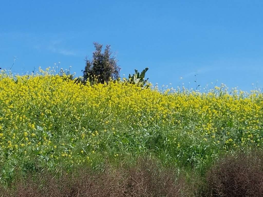 La Sierra Drive Trailhead | 13590 La Sierra Dr, Chino Hills, CA 91709, USA