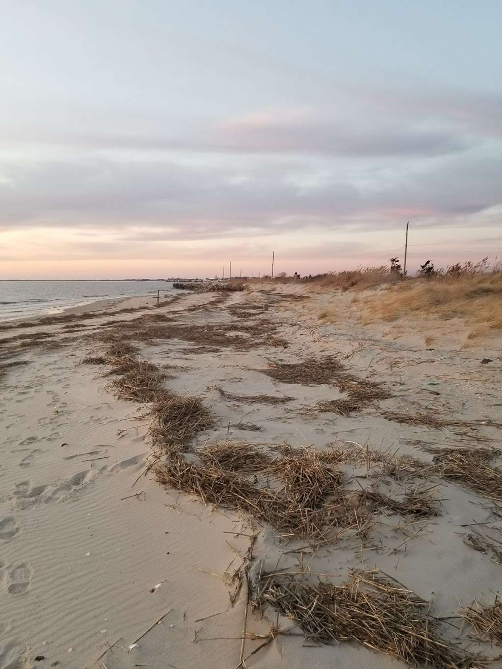 Egg Island Fish and Wildlife Management Area | Fortescue, NJ 08321