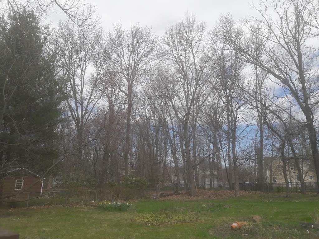 Delta Gas | 713 Plainfield Ave, Berkeley Heights, NJ 07922, USA