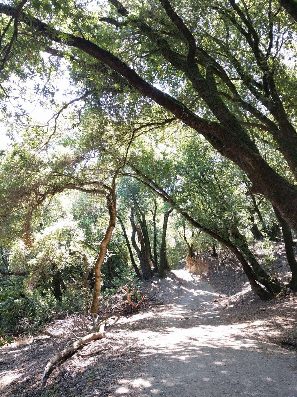 Las Trampas Regional Wilderness | Bollinger Canyon Rd, San Ramon, CA 94583, USA | Phone: (510) 544-3276