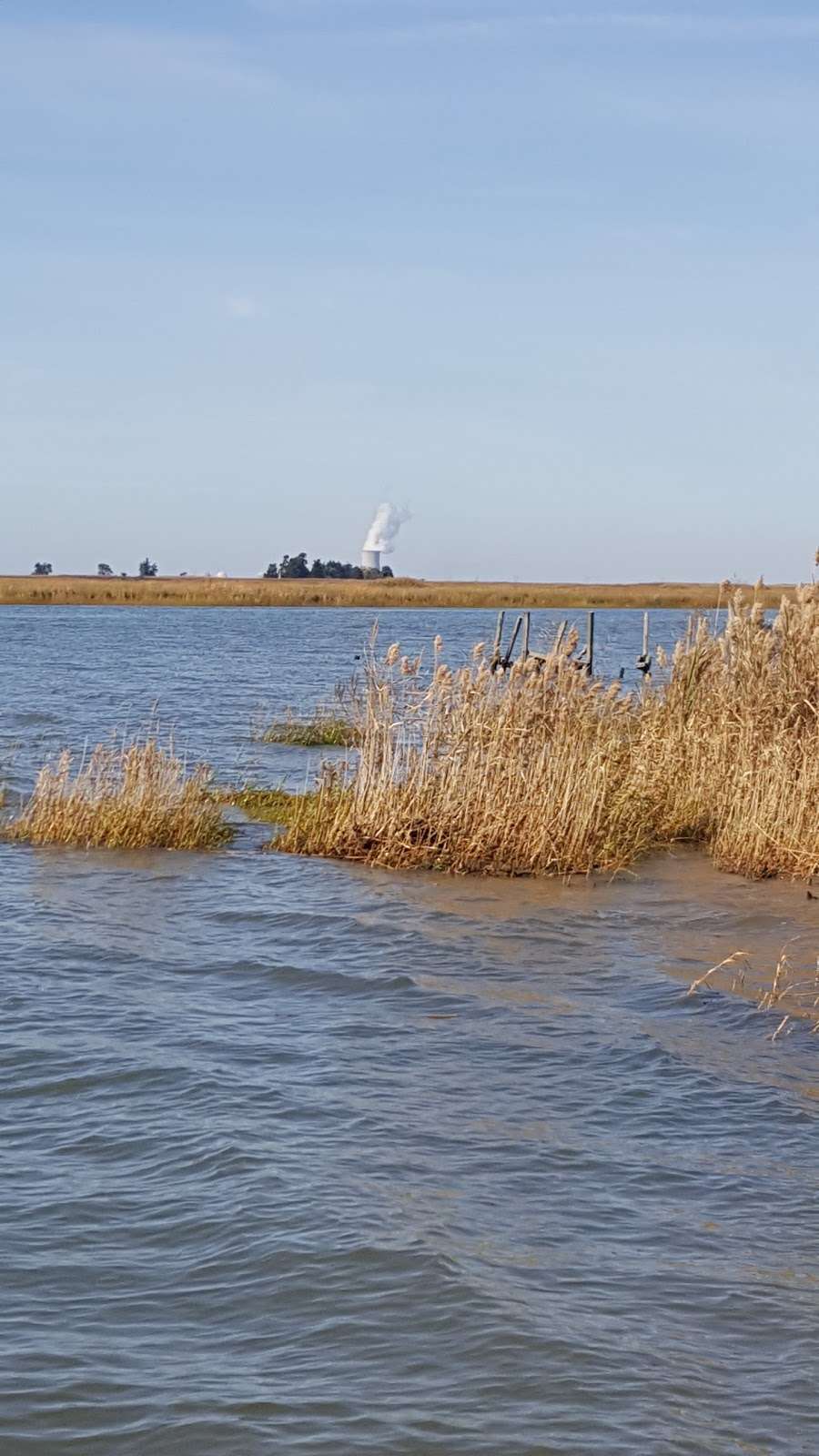 Cohansey River Wildlife Management Area | Bridgeton, NJ 08302