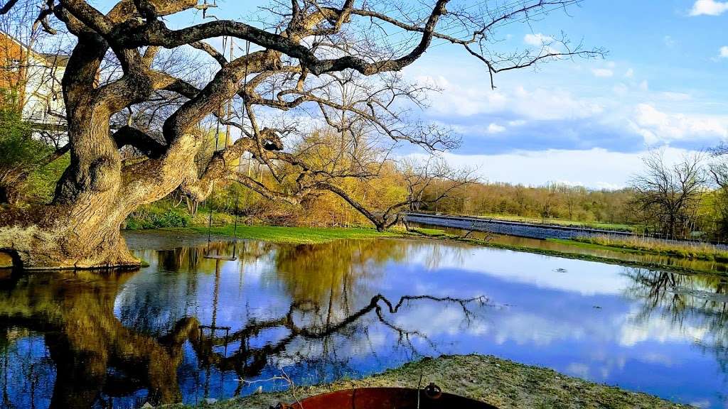 Abrams Creek Wetlands Preserve | Winchester, VA 22601, USA