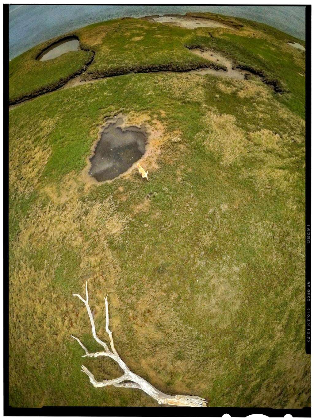 Ipswich Salt Marsh | 01938, Ipswich, MA 01938, USA