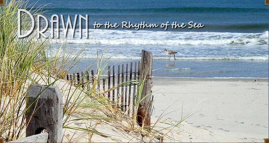 Rhythm of the Sea | 1123 Beach Ave, Cape May, NJ 08204, USA | Phone: (609) 884-7788