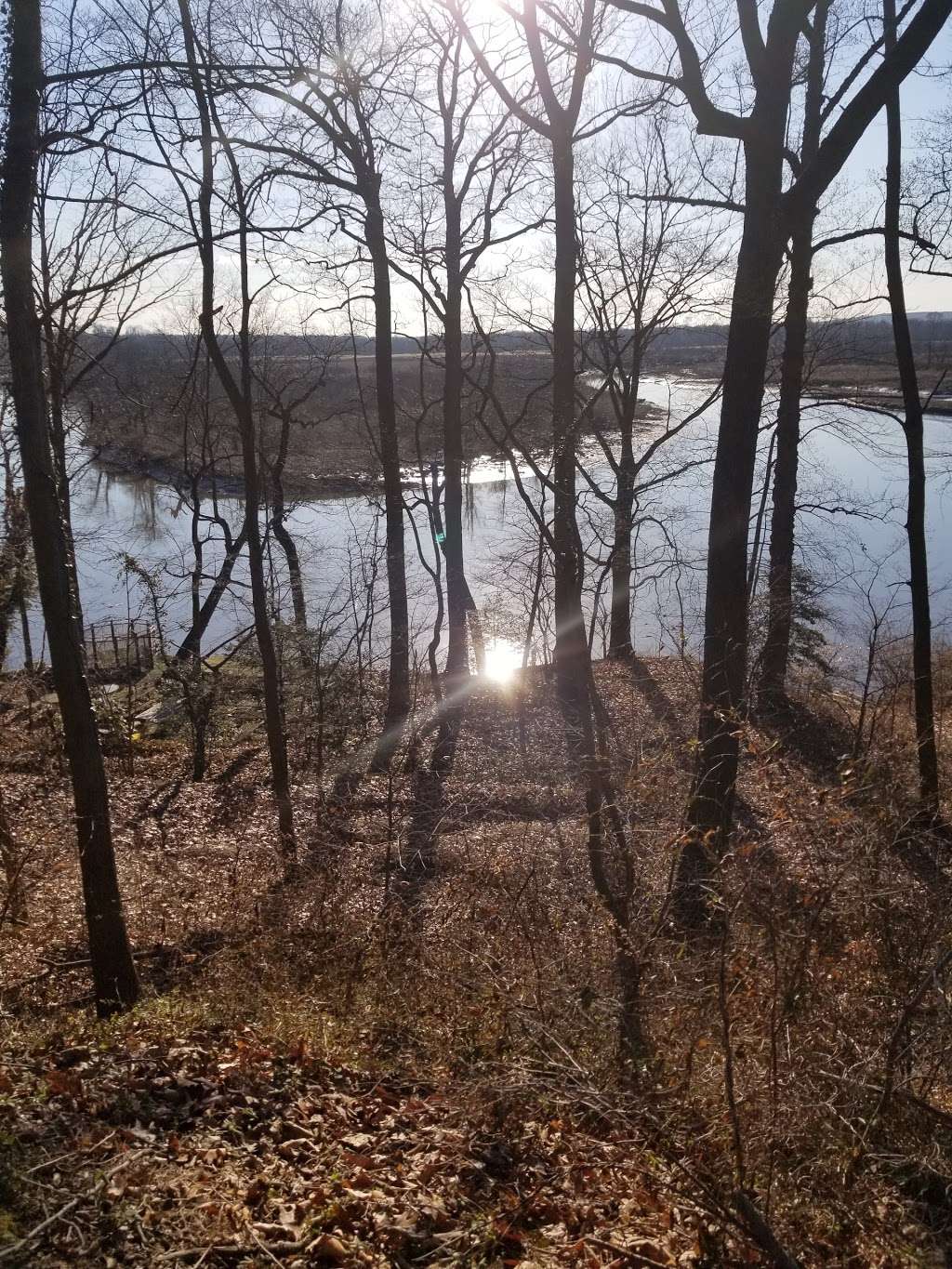 Abbott Marshlands | Bordentown, NJ 08505, USA