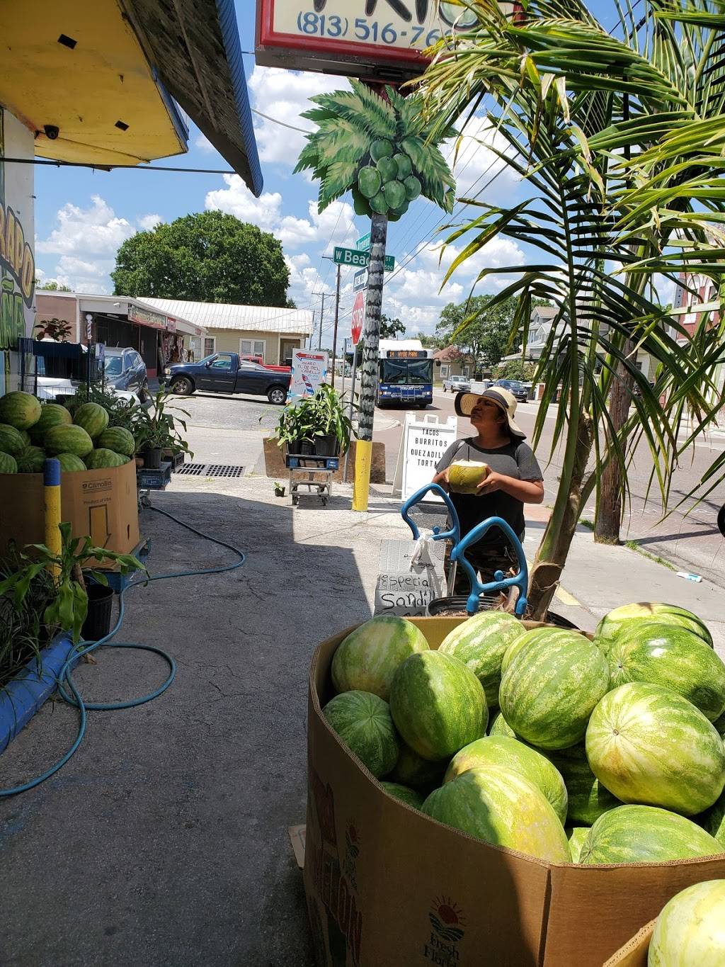 Coco Frio Fresh Produce | 2412 N Armenia Ave, Tampa, FL 33607, USA | Phone: (813) 516-7690