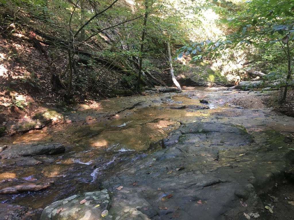 Cascade Falls Loop Trail, | Elkridge, MD 21075, USA