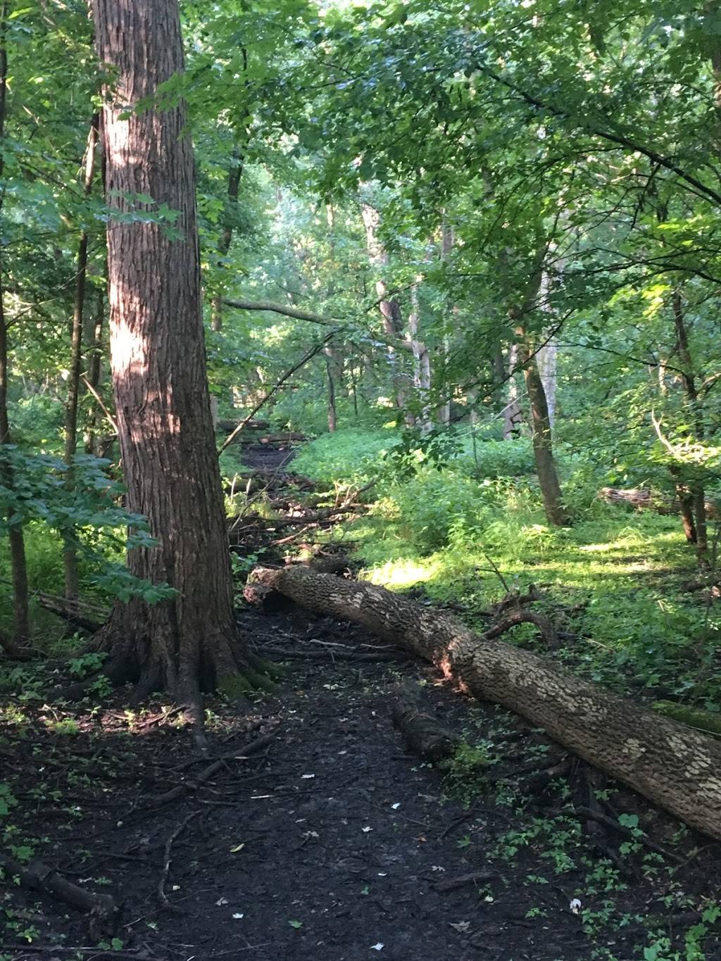 Buckeye Trail | Bridle Trail, Walton Hills, OH 44146, USA | Phone: (330) 657-2752