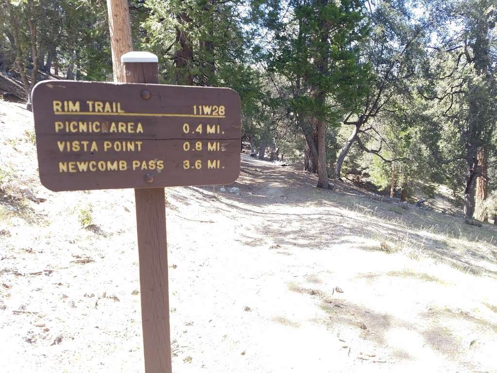 Mt. Wilson Skyline Park Picnic Site | Mt Wilson, CA, USA