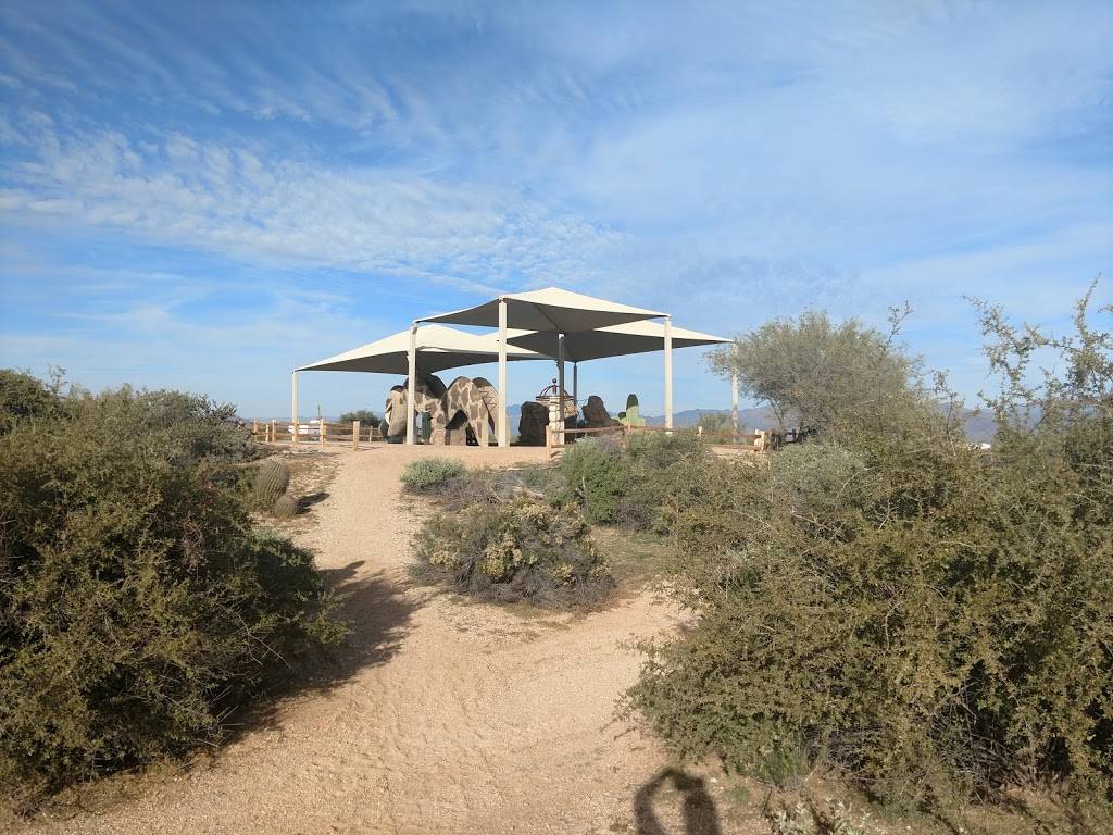 Rowland Campground At McDowell Mountain Park | Whitehead Way, Scottsdale, AZ 85262, USA | Phone: (602) 506-2930
