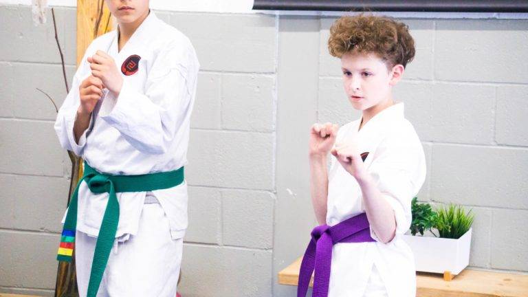 Ogawa Family Karate | 1485 Garrison Rd, Fort Erie, ON L2A 1P8, Canada | Phone: (289) 271-9822