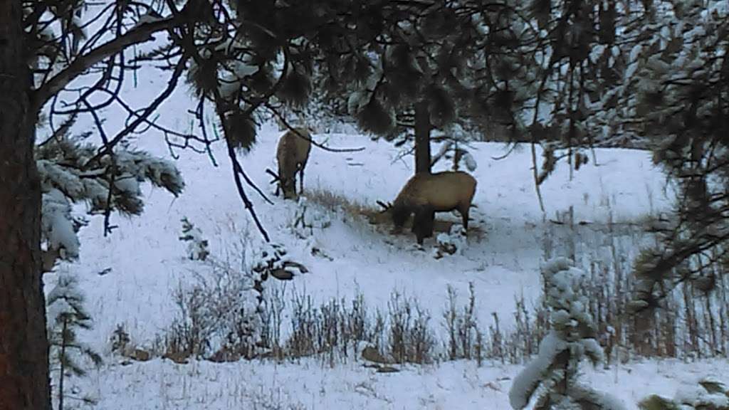 Hidden Valley Parking Area | 1045 Fall River Ct, Estes Park, CO 80517, USA