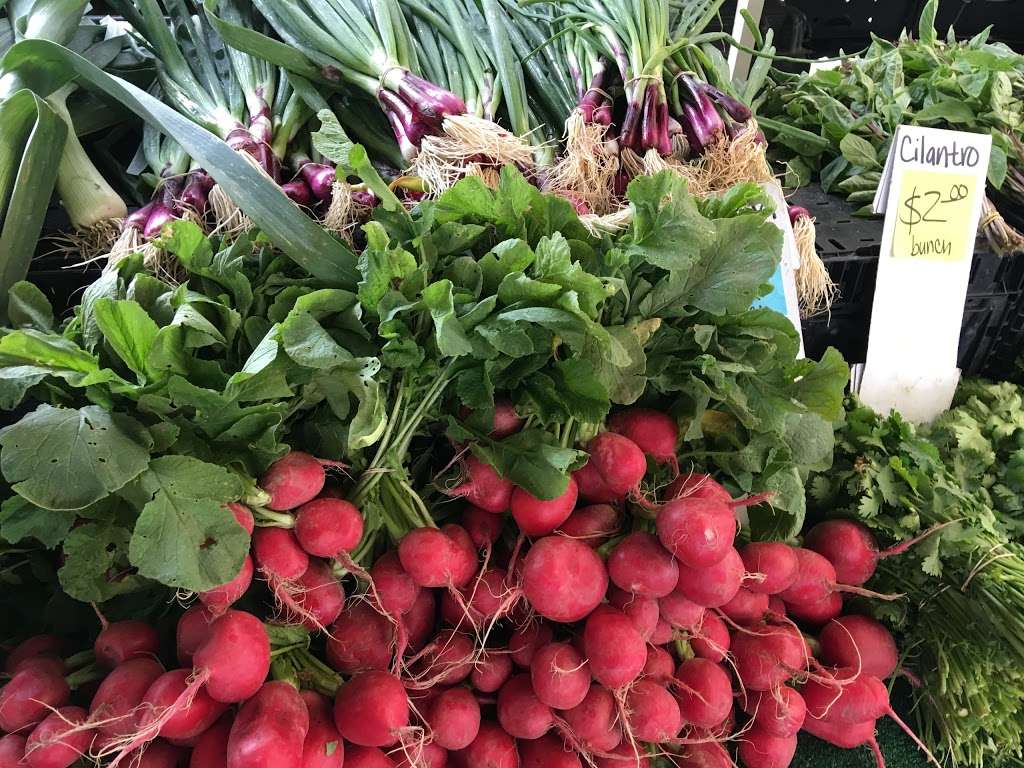 Pasadena Farmers Market | 2925 Sierra Madre Blvd, Pasadena, CA 91107, USA | Phone: (626) 449-0179