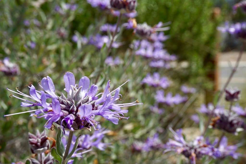 Anaheim Coves Trail | Anaheim Coves Trail, Anaheim, CA 92806