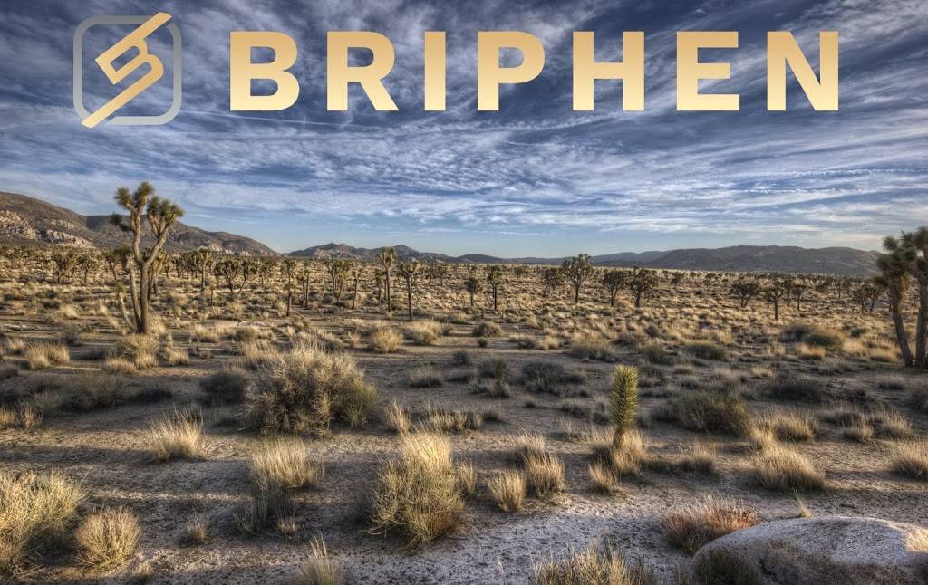 Briphen LLC | Chandler, AZ 85248, USA | Phone: (480) 447-8775