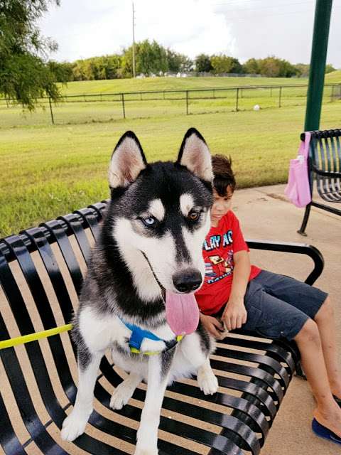 Riverstone Dog Park | Sugar Land, TX 77479, USA