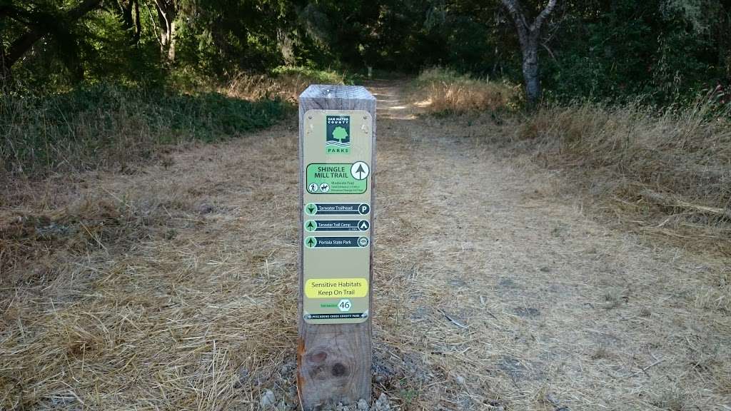 Pescadero Creek Park | 9500 Pescadero Creek Road, Loma Mar, CA 94021 | Phone: (650) 879-0238