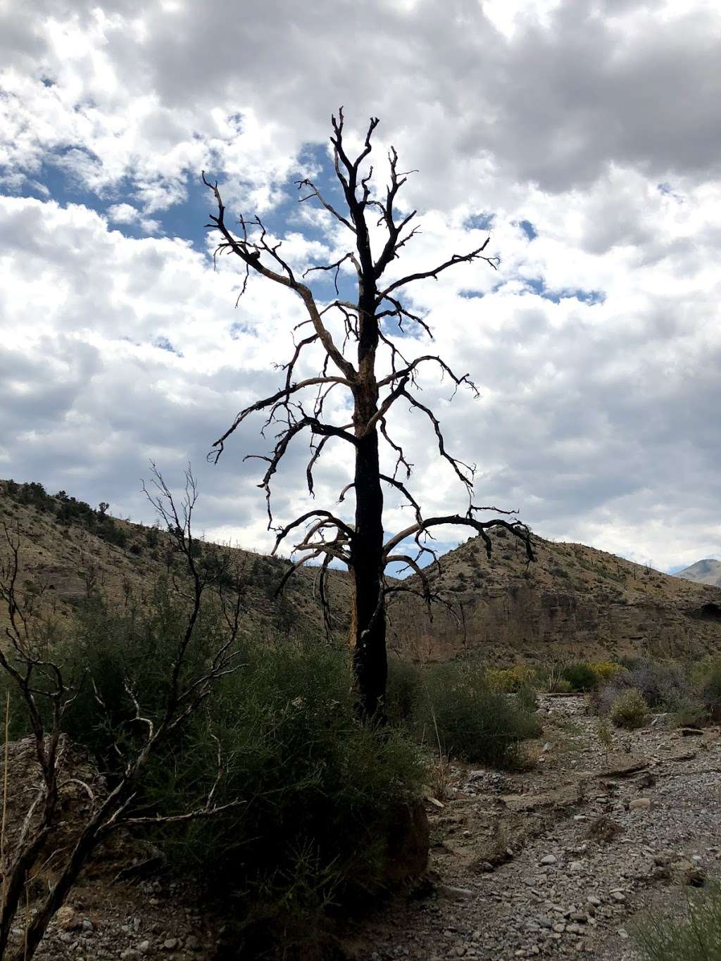 The Slots (Lower Kyle Canyon) | Unnamed Road, Mt Charleston, NV 89124