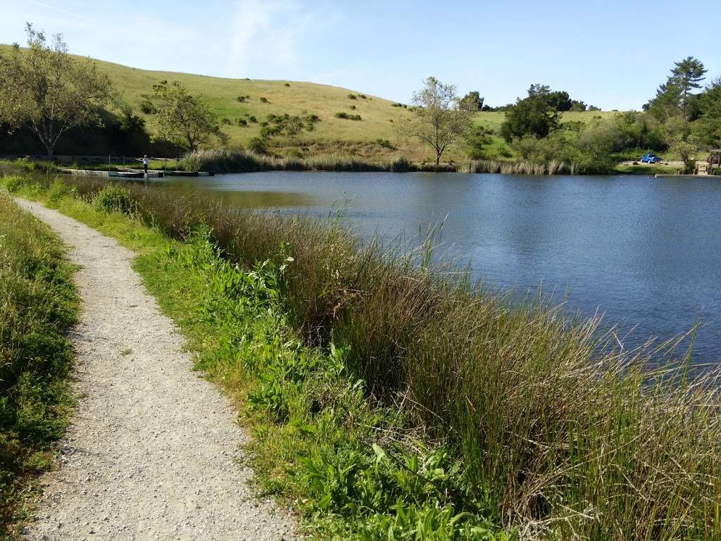 Boronda Lake Docks | Unnamed Road, Palo Alto, CA 94304, USA