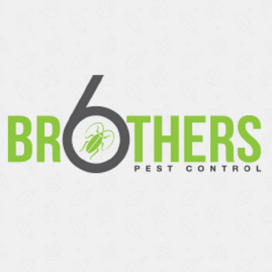 Six Brothers Pest Control | 3091, 5717, N Delta Ave, Kansas City, MO 64151, USA | Phone: (913) 703-7373