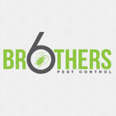 Six Brothers Pest Control | 3091, 5717, N Delta Ave, Kansas City, MO 64151 | Phone: (913) 703-7373