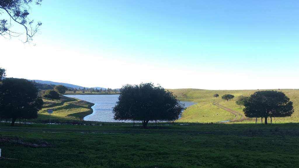 Arastradero Preserve Loop Vista Point | Arastradero Creek Trail, Palo Alto, CA 94304, USA | Phone: (650) 329-2423