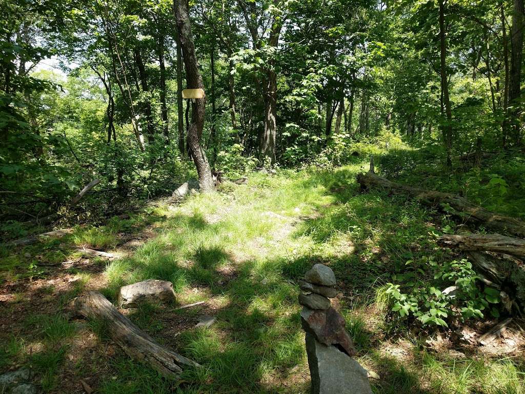 Upper Spur Trail Head | Hardwick Township, NJ 07825, USA