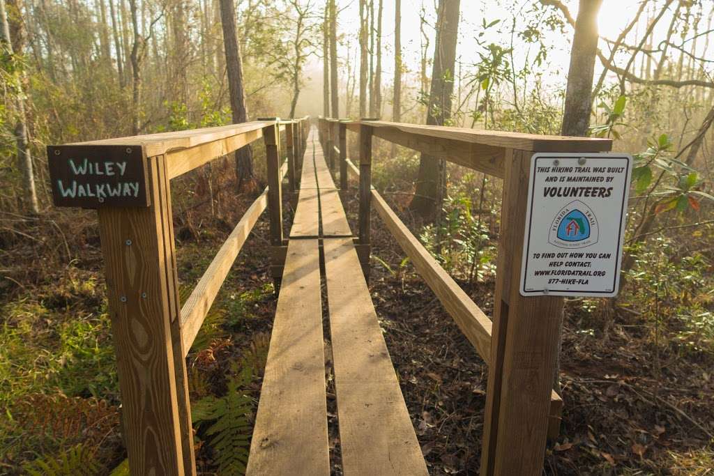 Trailhead for Flagler/Florida Trail | Flagler Trail, Oviedo, FL 32765, USA
