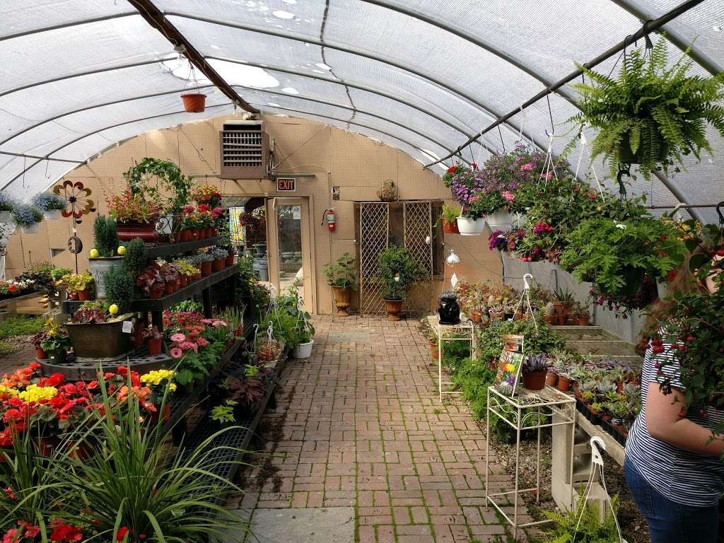 Groffs Nursery | 1350 Delsea Dr, Pitman, NJ 08071 | Phone: (856) 589-9600