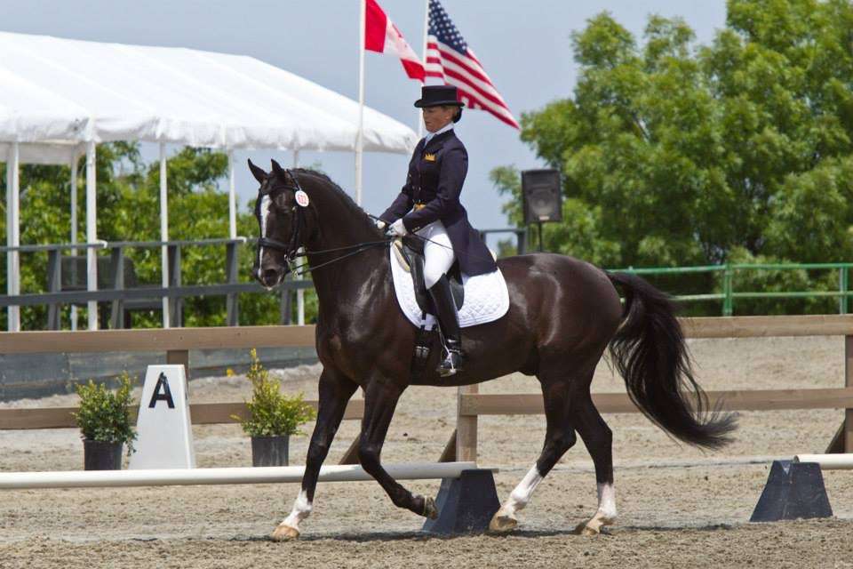 Euro-Quest Farms Center For Dressage | 5900 Old School Rd, Danville, CA 94588, USA | Phone: (510) 755-9700