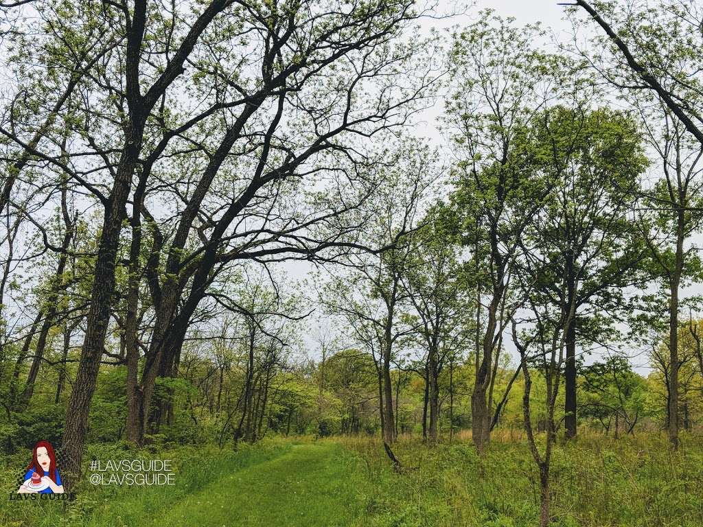 West DuPage Woods | 245 Garys Mill Rd, Winfield, IL 60190, USA